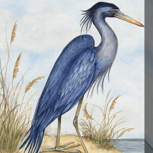 Blue Heron – Premium Treated Outdoor, Indoor Canvas Art – 30×40