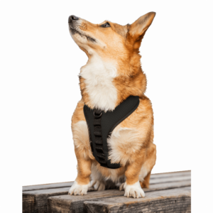 K9 Sport Harness – Anthracite Black – Medium (15-17″ Neck 15-21″ Chest).