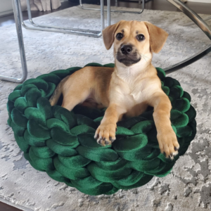 Mika Velvet Braid Pet Bed (Emerald Green).