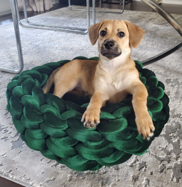 Mika Velvet Braid Pet Bed (Emerald Green).